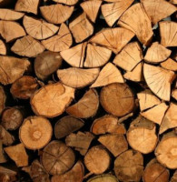 Nejistota kolem energií vrací domácnosti ke dřevu. Zájem o lokální topidla znovu výrazně roste! 